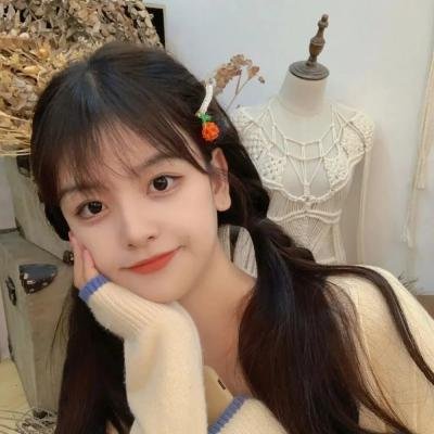 青春环游记第五季海报